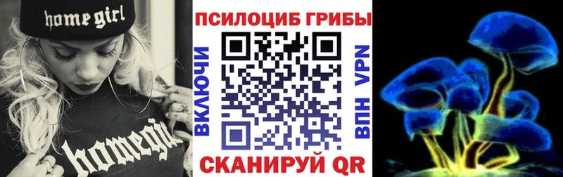Псилоцибиновые грибы мухоморы  Котлас 